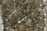 Wide, Quartz Crystal Cluster On Wood Base - Uruguay #101460-1